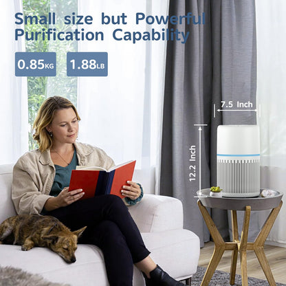 HEPA Air Purifier for Home by FRESHDEW