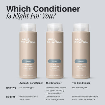 Paul Mitchell Detangler Conditioner for Color-Treated Hair