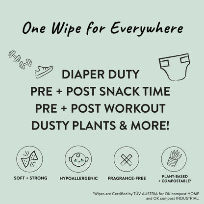 288 Count The Honest Company Baby Wipes
