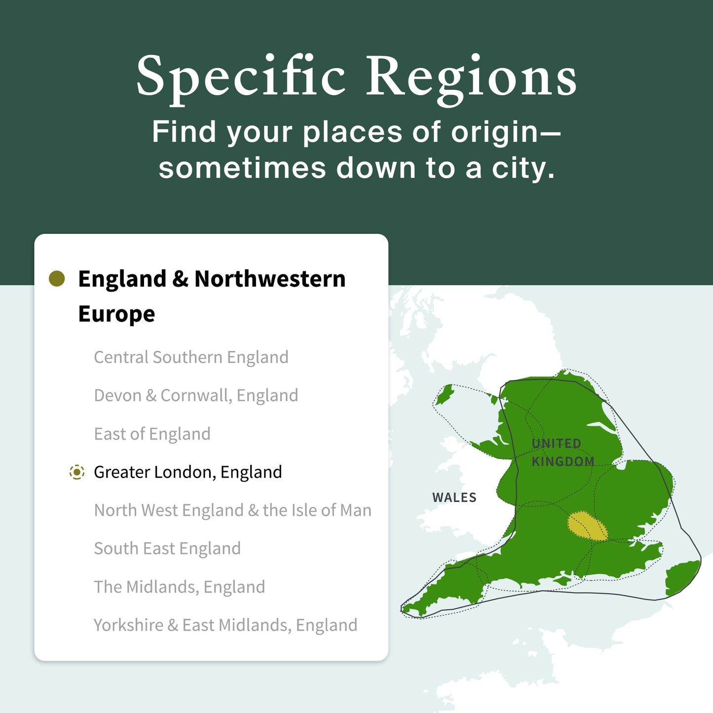 AncestryDNA Genetic Test Kit for Ethnicity & Origins