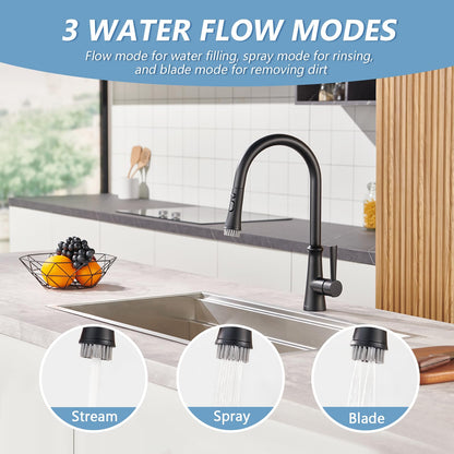 Aktines Matte Black Kitchen Faucet with Sprayer