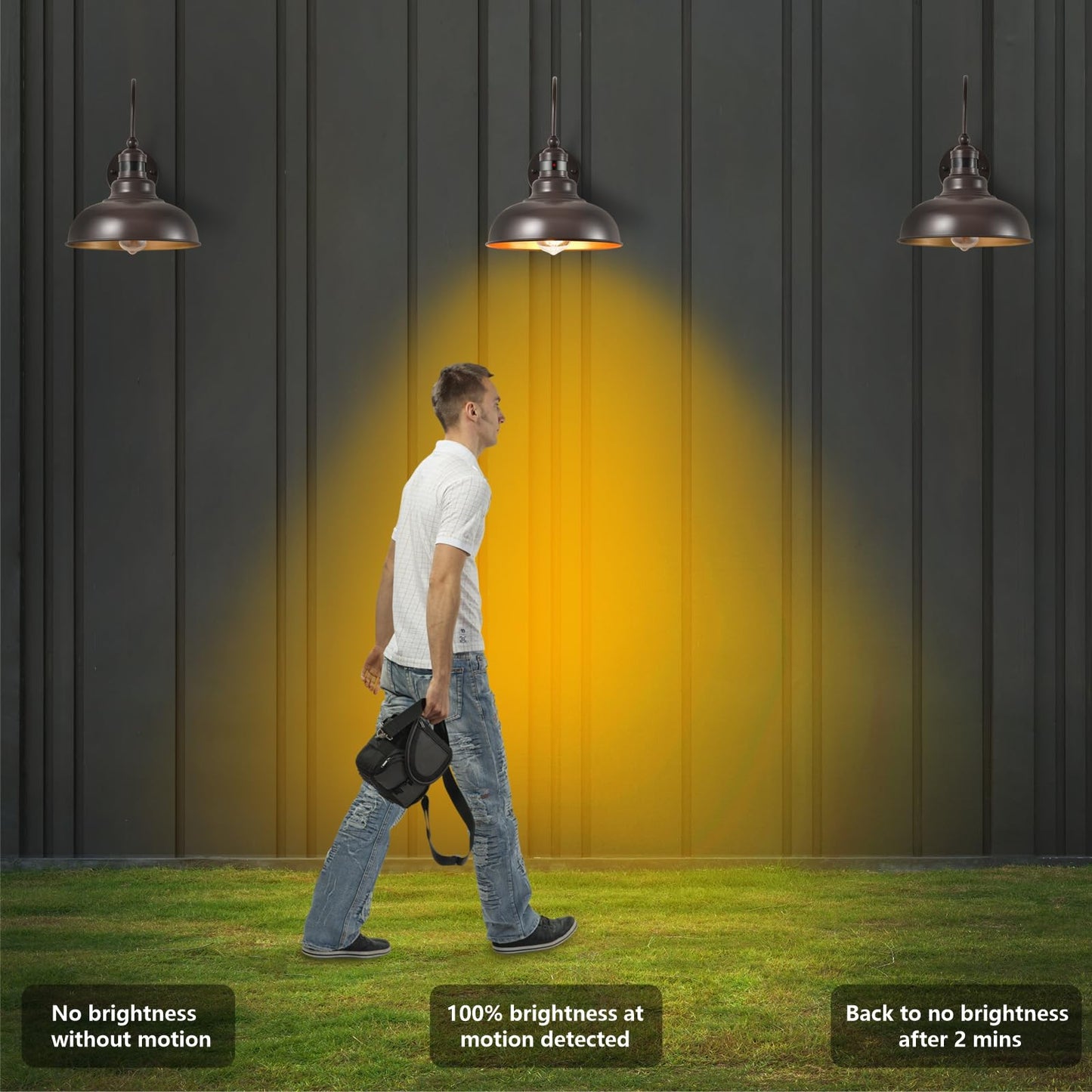 RIDALUX Gooseneck Motion Sensor Wall Light 2-Pack