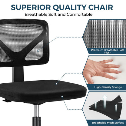Ergonomic Mesh Task Chair with Lumbar Support