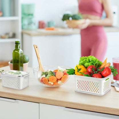 BPA-Free Fruit Storage Containers with Airtight Lids