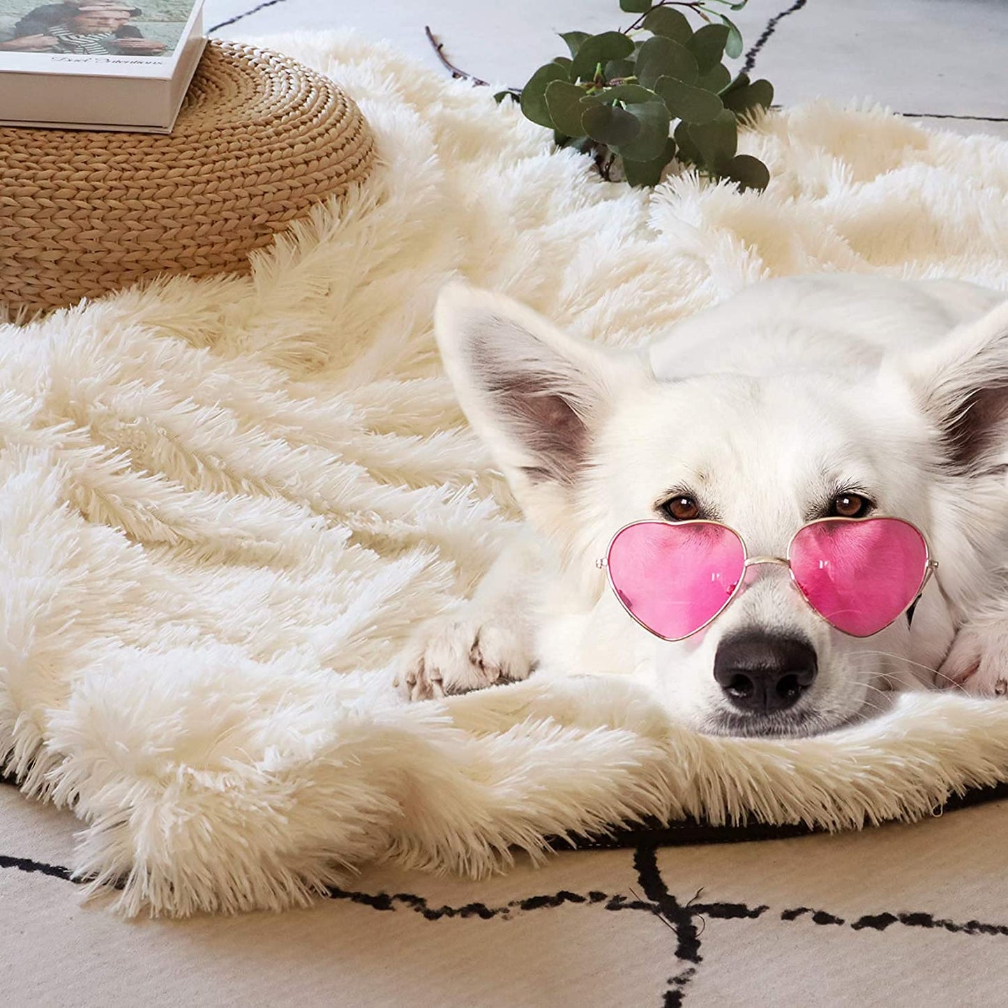 Fuzzy Faux Fur Throw Blanket 50" x 60"