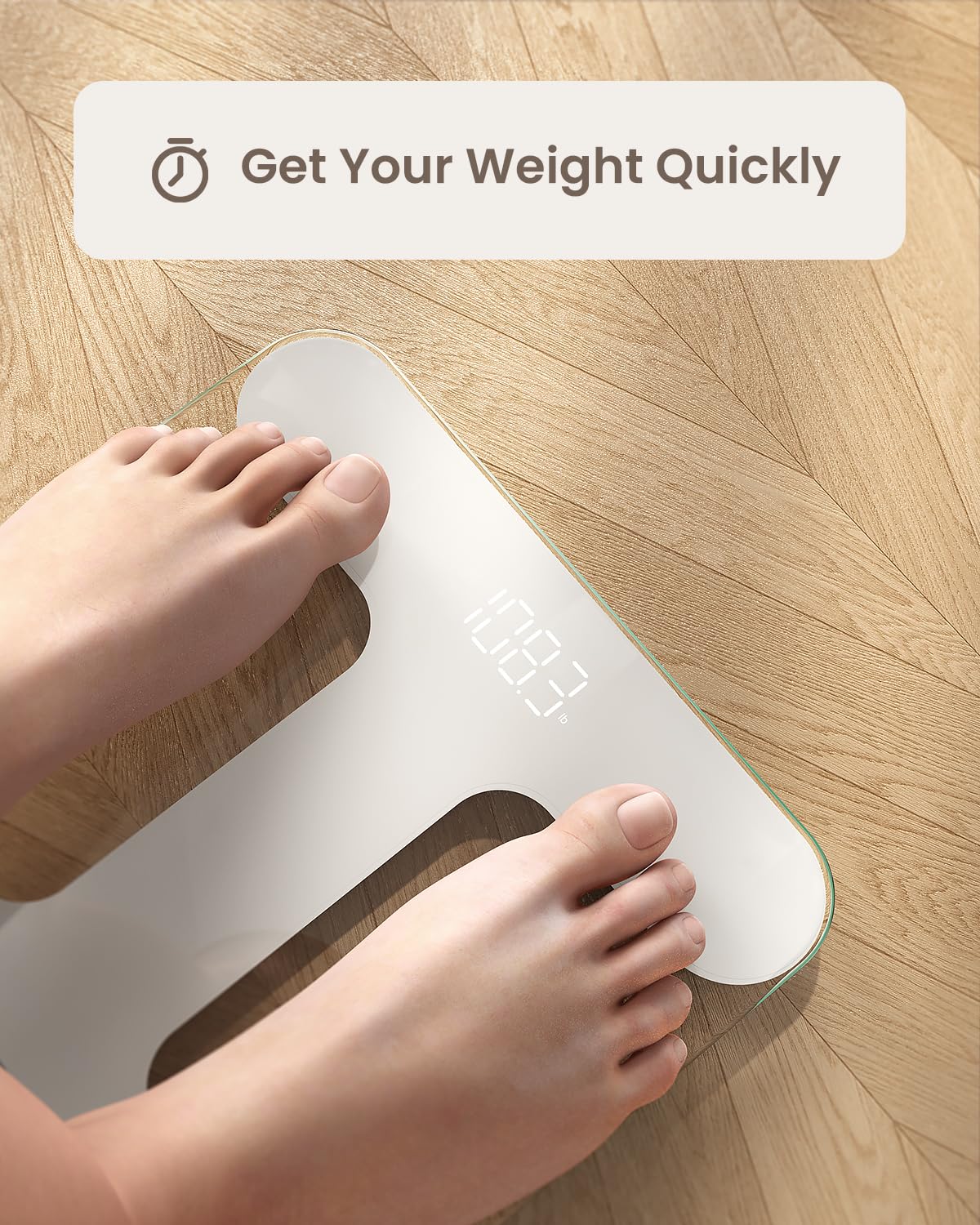 RENPHO Body Weight Scale with LED Display