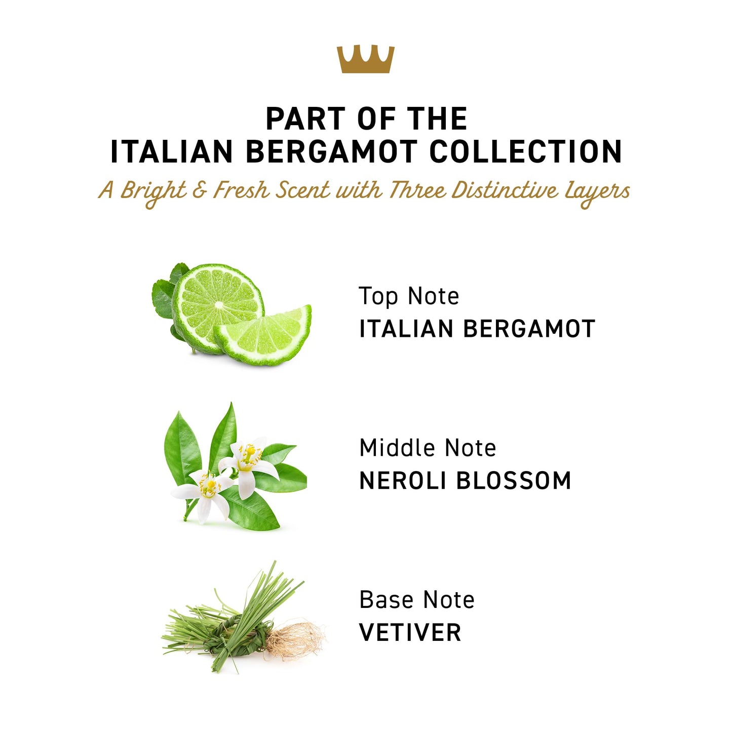 Cremo Men's Body Wash with Bergamot & Vetiver