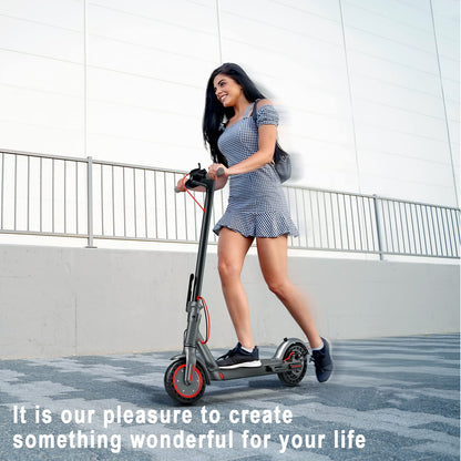 Roinside Foldable Electric Scooter with App Control