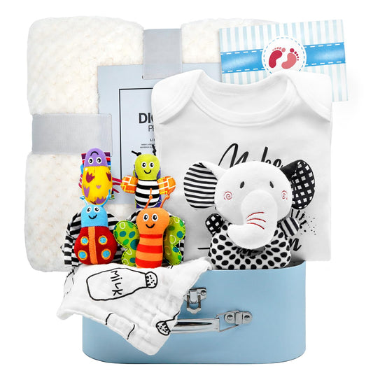 Baby Gift Basket 10Pcs Set for Newborns