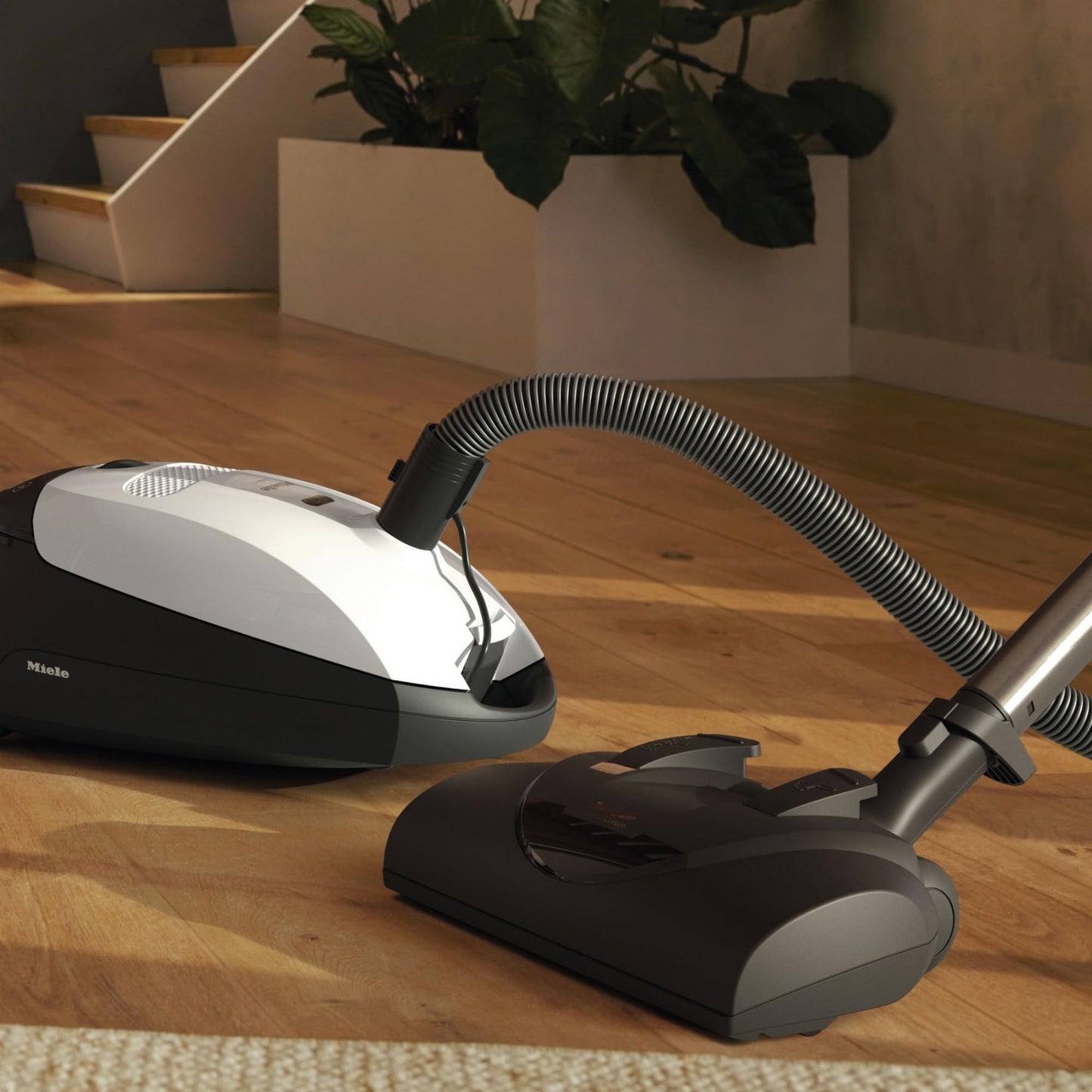 Miele Cat & Dog Bagged Canister Vacuum