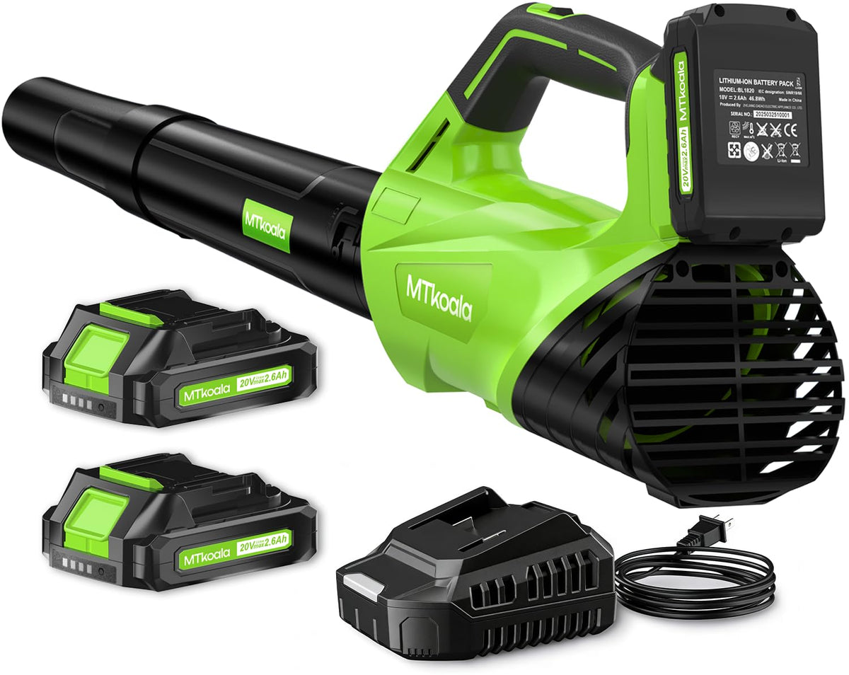 Cordless Leaf Blower with 2 Batteries and Charger