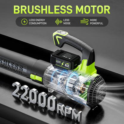 Aokia Cordless Leaf Blower with 2 Batteries