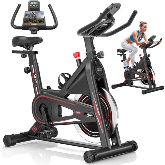 DMASUN Stationary Exercise Bike with Digital Display