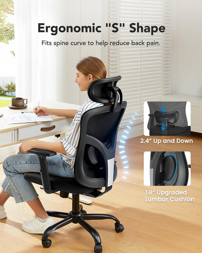 HUANUO Ergonomic High Back Office Chair