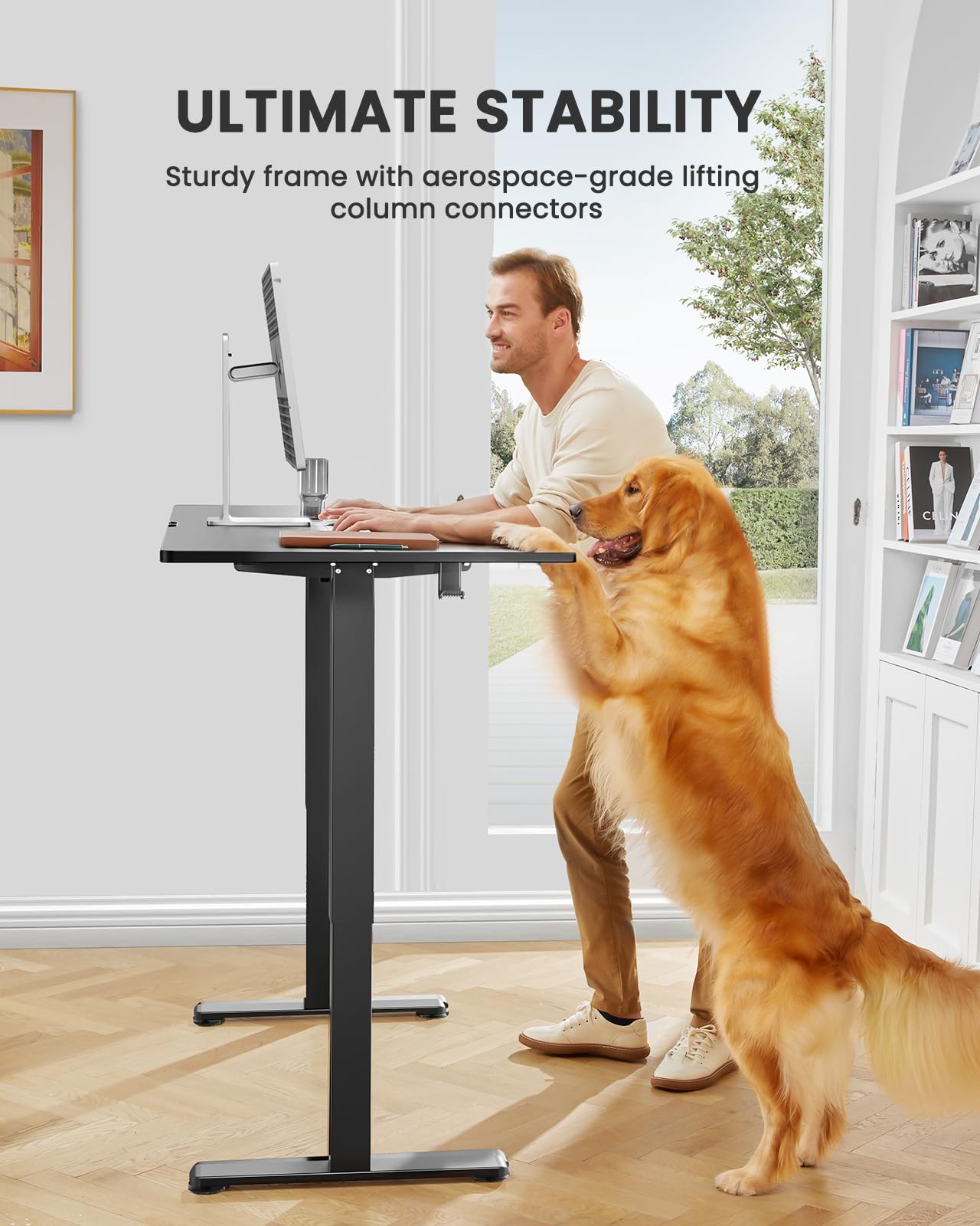 ErGear Adjustable Electric Standing Desk 48x24