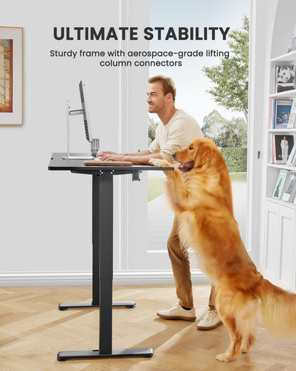 ErGear Adjustable Electric Standing Desk 48x24