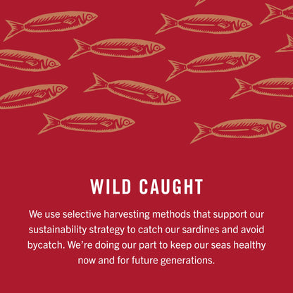 King Oscar Sardines in Olive Oil, 12-Pack