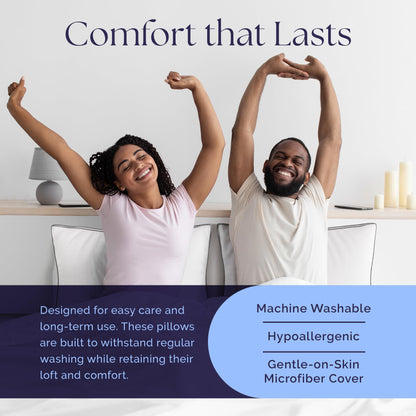 2 Pack TOOFLEE Luxury Down Alternative Pillows