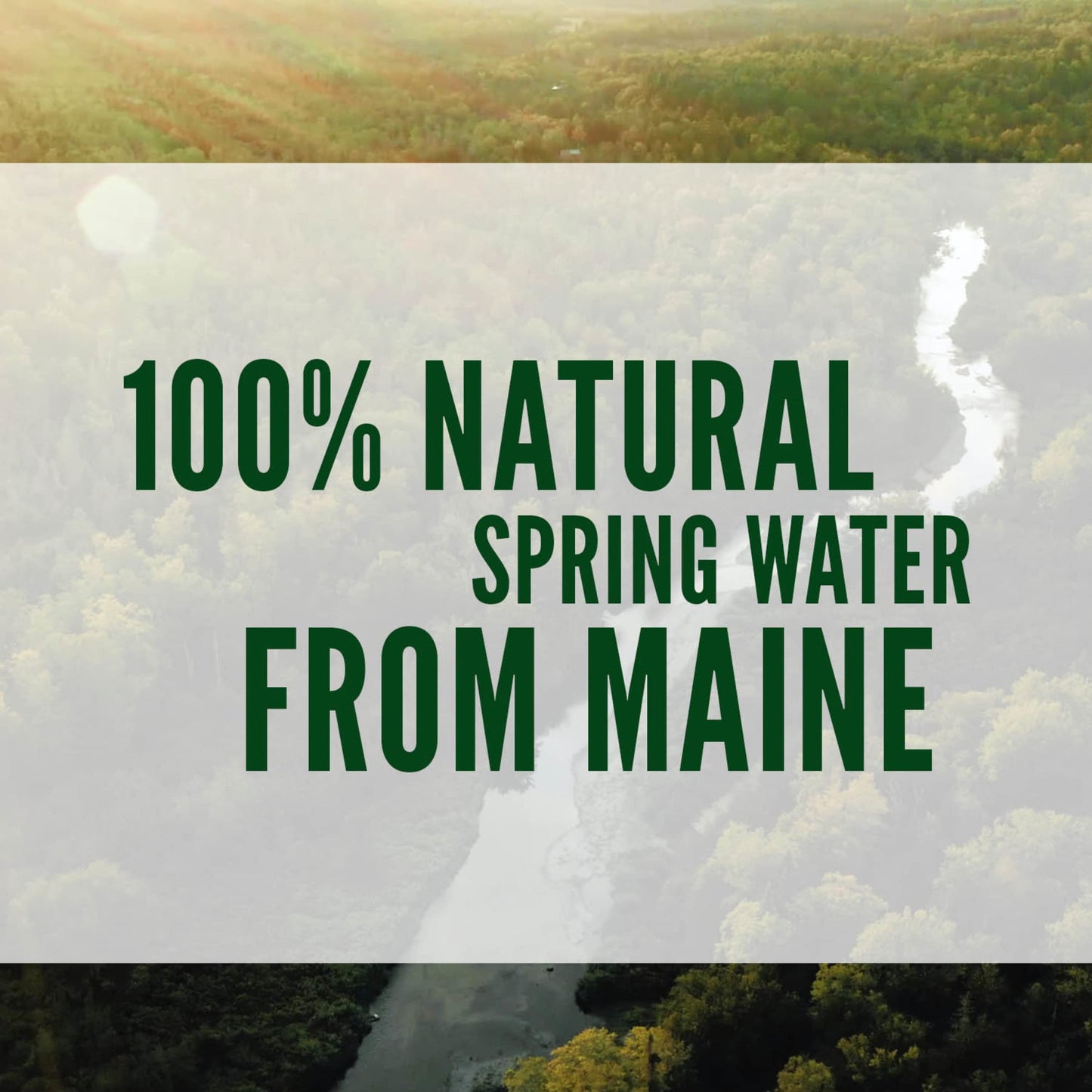 12 Pack Poland Spring Bottled Water, 8 Fl Oz