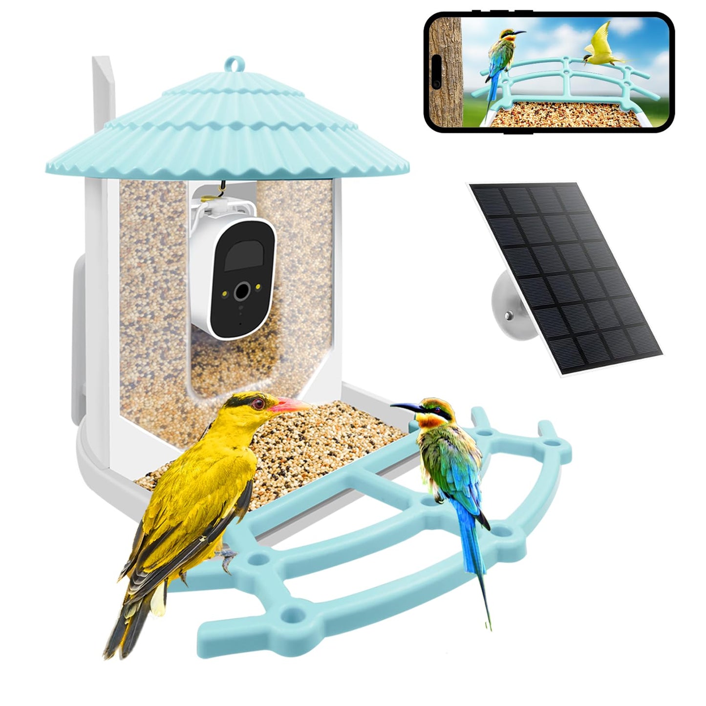 Smart Bird Feeder Camera with AI Detection