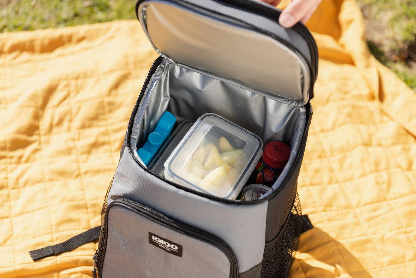2 Pack Igloo Maxcold Ice Blocks