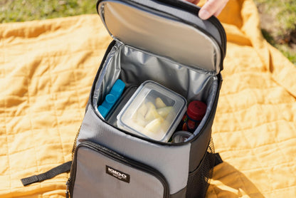 2 Pack Igloo Maxcold Ice Blocks
