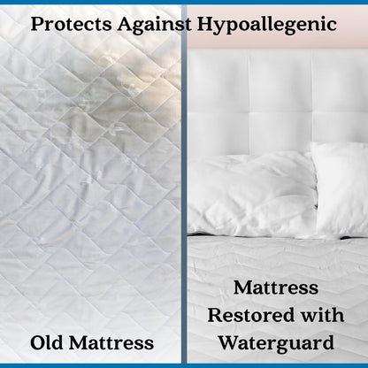 Waterguard Twin Mattress Protector, Hypoallergenic, 100% Cotton, Waterproof, Quilted, 39" x 75" x 15"