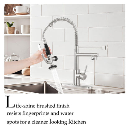 Dual Spout Kitchen Faucet with Pull Down Sprayer
