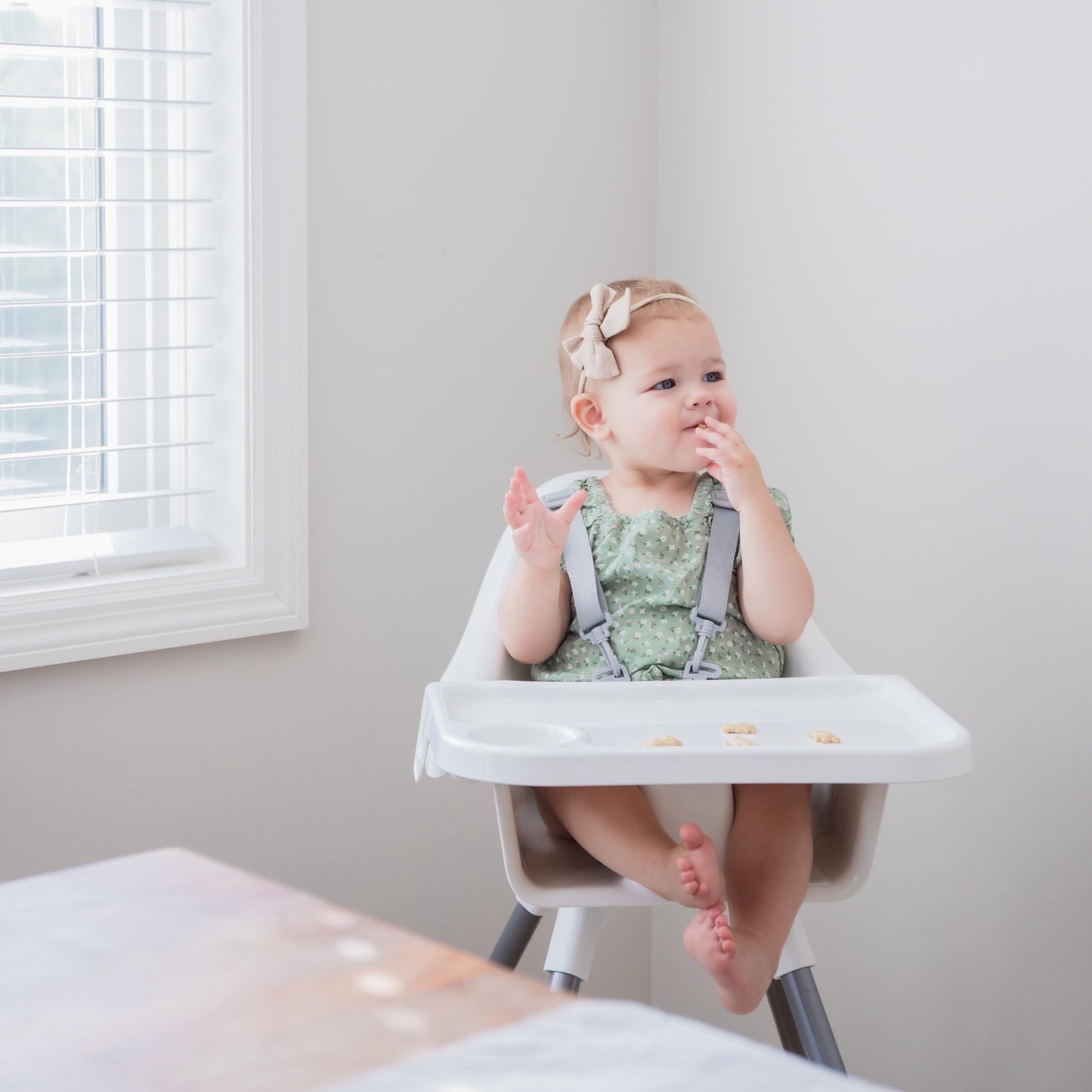 Regalo High Chair with Removable Tray & Harness