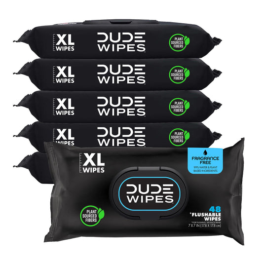 288 Count DUDE Wipes - Flushable Wet Wipes