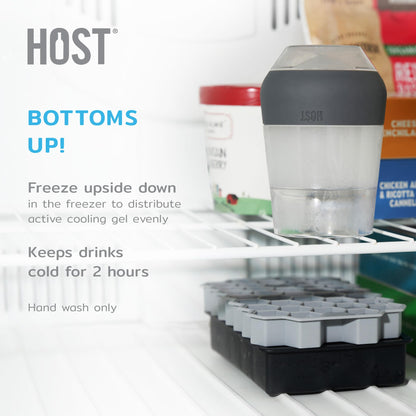 2 Pack HOST Wine Glass Cooling Tumblers