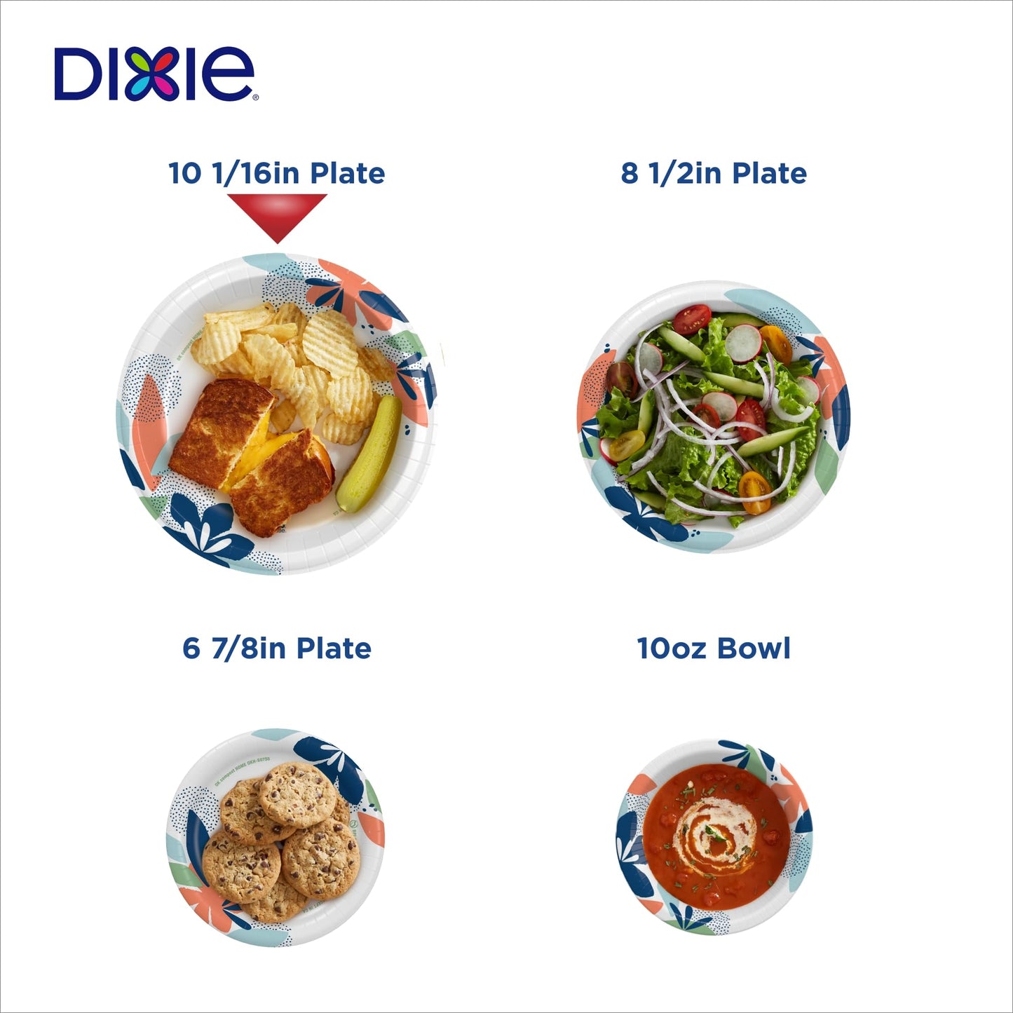 204 Count Dixie Disposable Paper Plates, 10 Inch