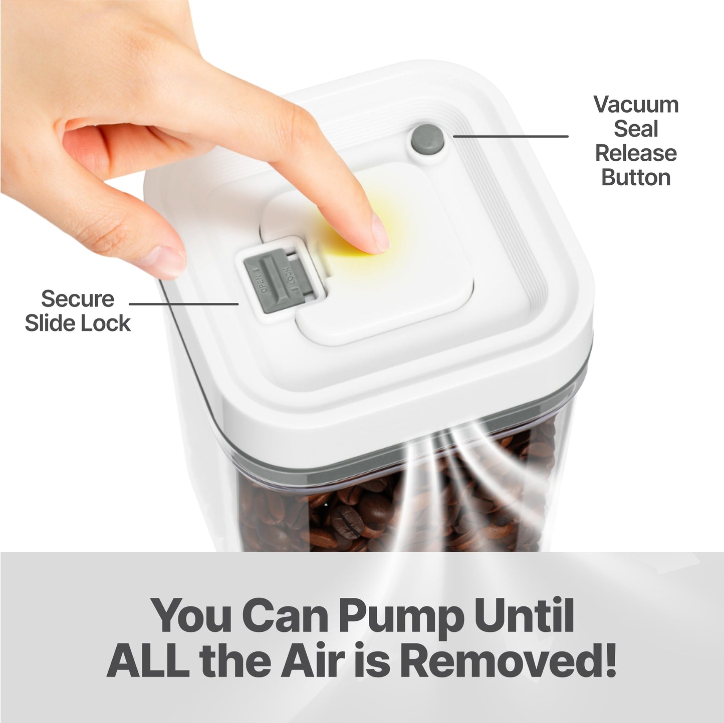 Pump-Lock Food Storage Containers 2-Pack - 3.7L