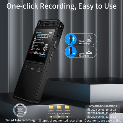 80GB Portable Voice Recorder with Dual Mic