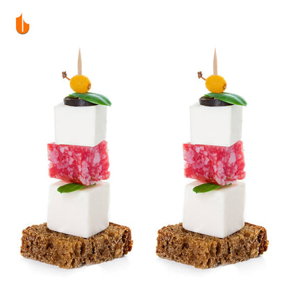Sturdy Toothpick Holder with 1600 Natural Picks