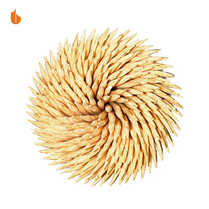 Sturdy Toothpick Holder with 1600 Natural Picks