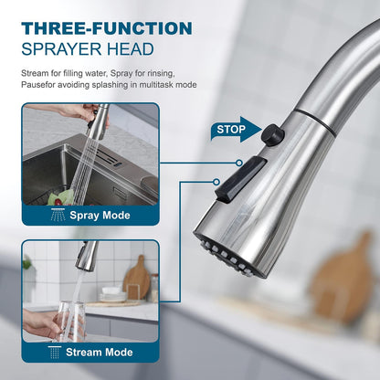 Matte Black Kitchen Faucet with Pull Down Sprayer