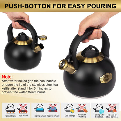 3.1 Quart LUXGRACE Stainless Steel Tea Kettle