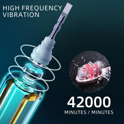 Fairir Sonic Electric Toothbrush with 10 Heads
