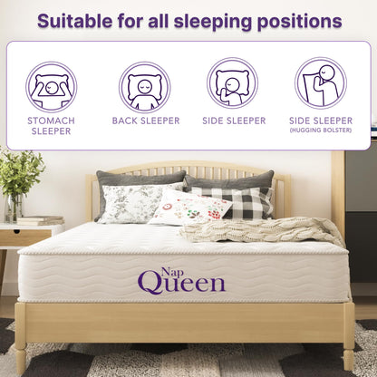 NapQueen Twin-XL 6" Innerspring Mattress, Medium Feel
