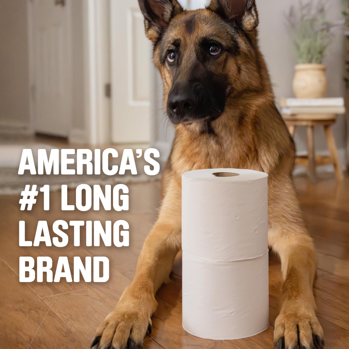 Scott Trusted Clean Toilet Paper, 32 Rolls