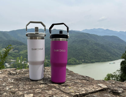 30 oz Insulated Stainless Steel Tumbler with Straw