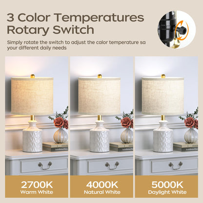 Ceramic Table Lamp Set of 2 with LED Bulbs