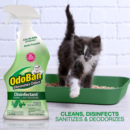 OdoBan Disinfectant Spray, Eucalyptus Scent, 32oz