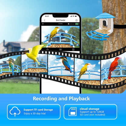 Smart Bird Feeder Camera with AI Detection