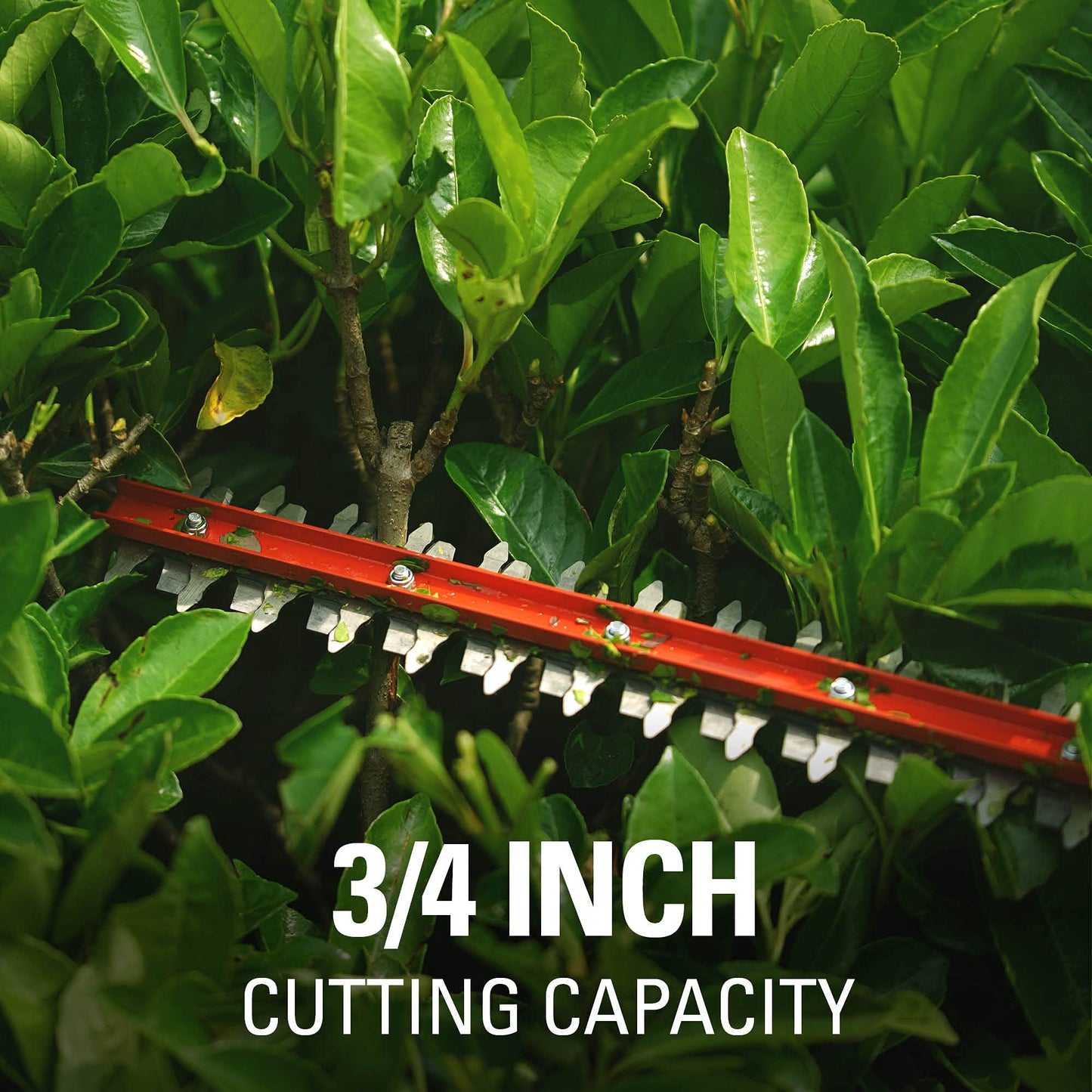 Greenworks 24V 22" Cordless Rotating Handle Hedge Trimmer, 1.5Ah USB Battery and Charger Included