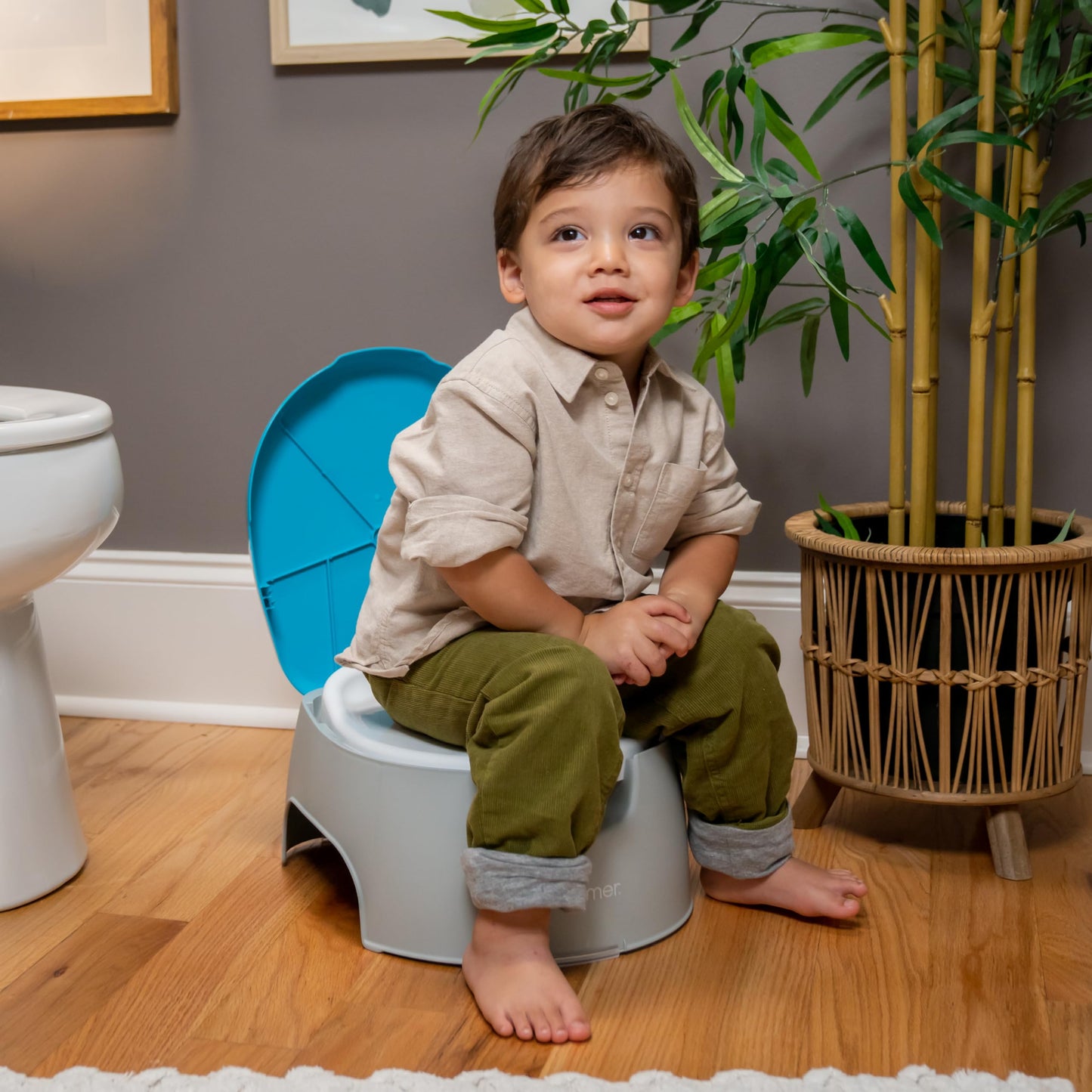 Summer Infant 3-in-1 Potty Seat and Stepstool