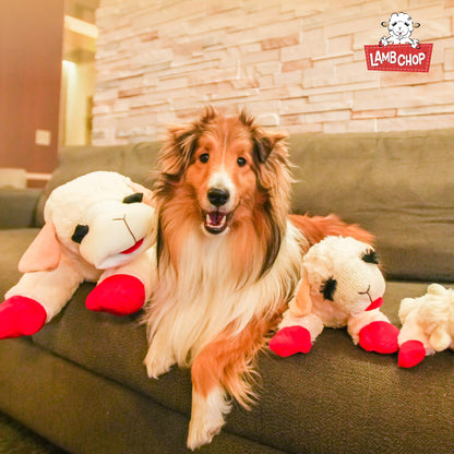 Multipet Lamb Chop Plush Dog Toy - Jumbo Squeaky