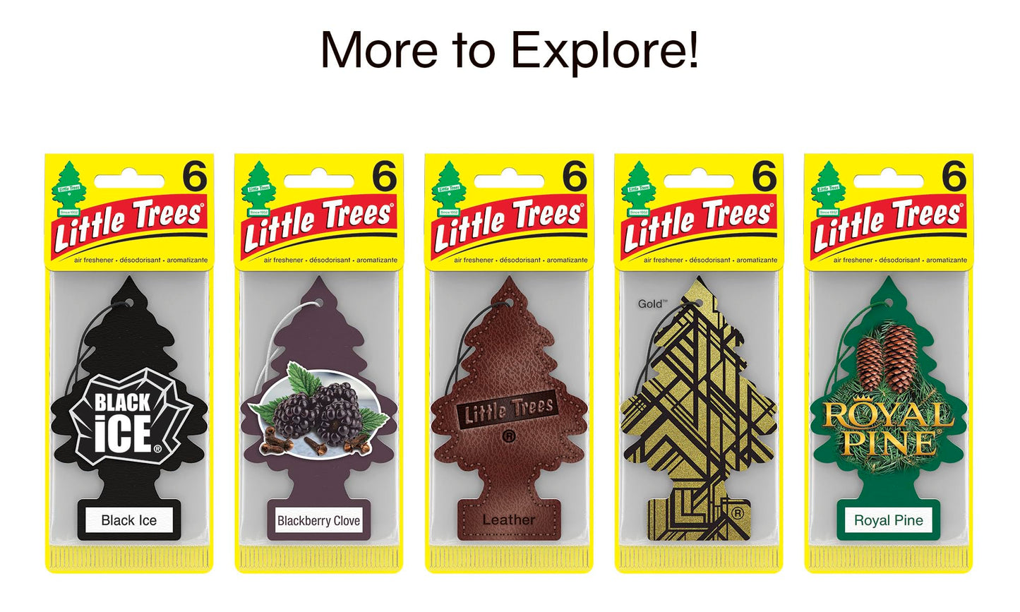 LITTLE TREES Long Lasting Car Air Fresheners