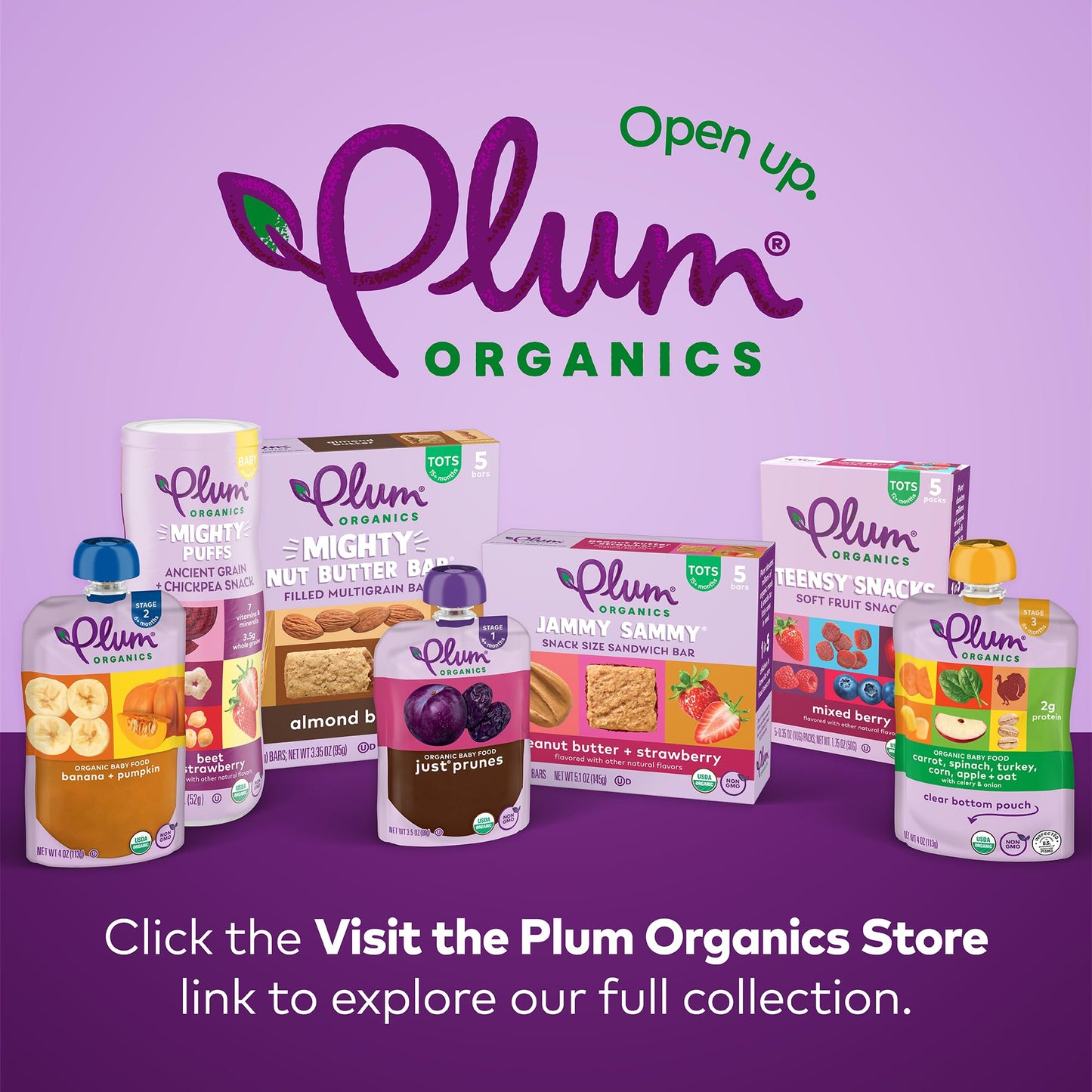 Plum Organics Blueberry Snack Bars - Pack of 48